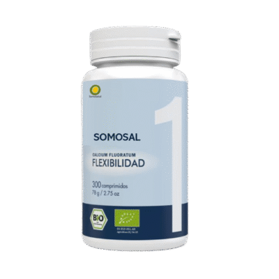 SomoSal 01 – Flex