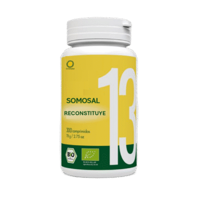 SomoSal 13 – Complex