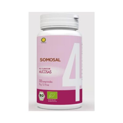 SomoSal 04 – Pul