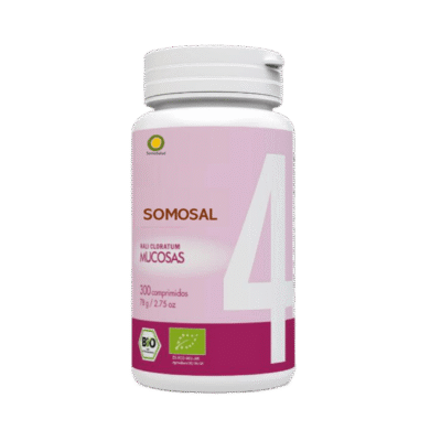 SomoSal 04 – Pul