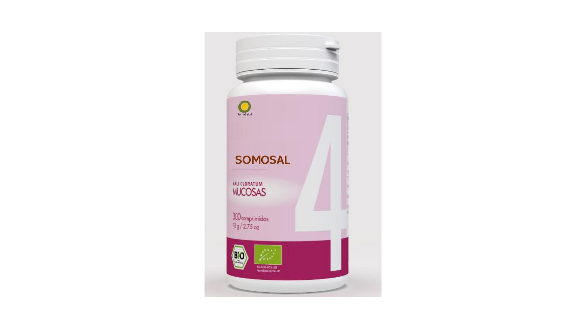 SomoSal 04 – Pul