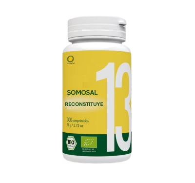 SomoSal 13 – Complex