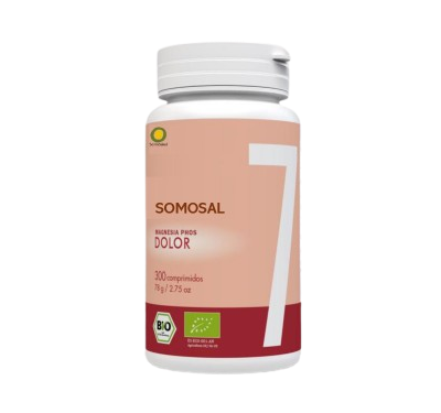 SomoSal 07 – Equi